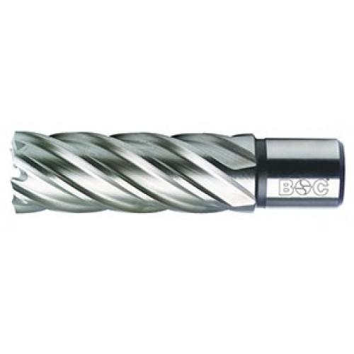 Bohrcraft Fresa hueca Profi Plus HSS-E Co 8
